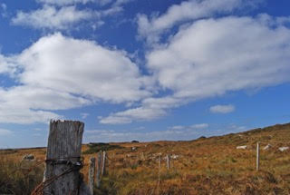 Home - Digital Land Surveyors Ltd.